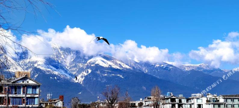 馨家遥山民宿(大理才村码头店)图片