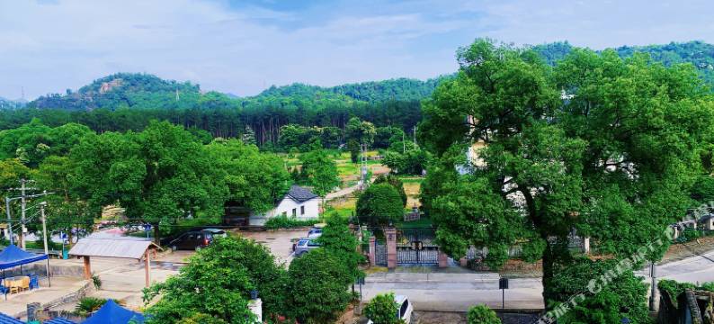一嘉楠舍民宿(永嘉泰石风景区店)图片