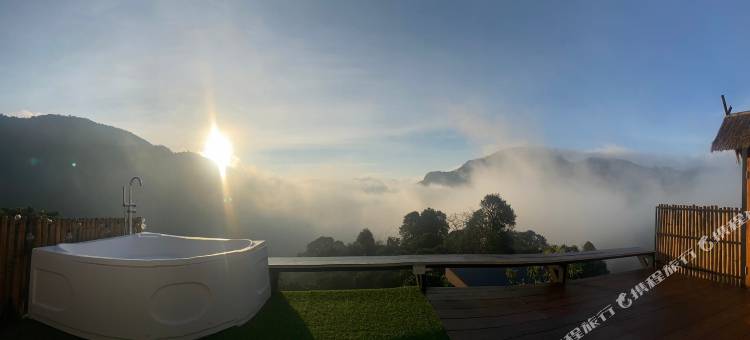 塌吗茶(Tham ma chard)图片