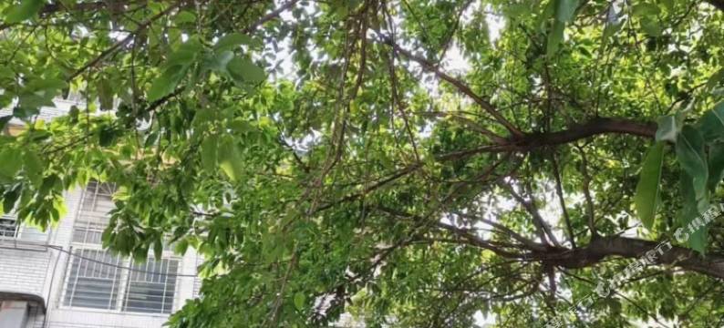 宜宾慢悠幽小舍(冠英古街店)图片