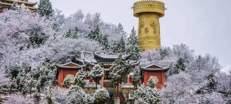 香格里拉倾城一品客栈(月光广场店)图片