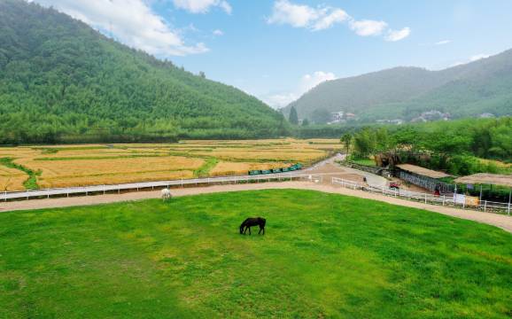 莫干山缦田生态度假酒店图片