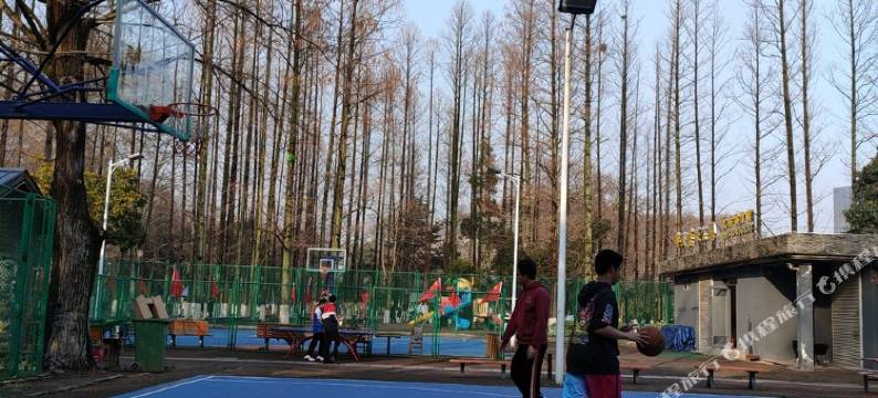 武汉百合公寓图片