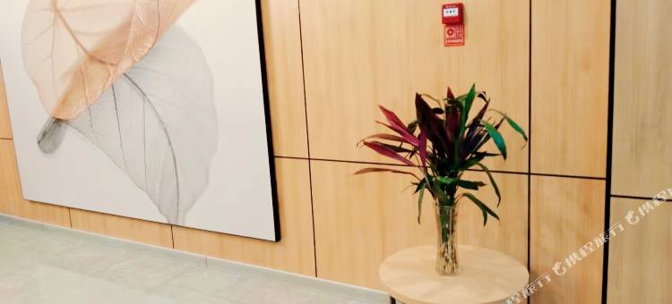 格林豪泰智选酒店(托克逊金汇广场店)图片