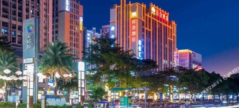 佛山百合酒店(顺德乐从家具城店)图片