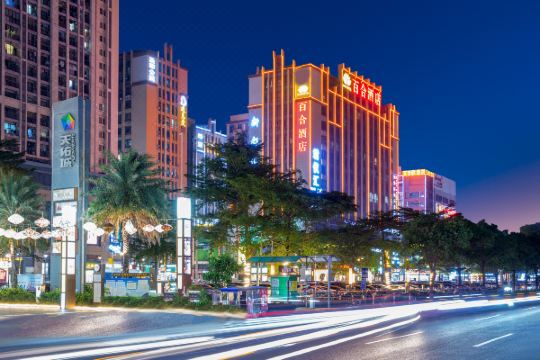 百合酒店佛山乐从天佑城店