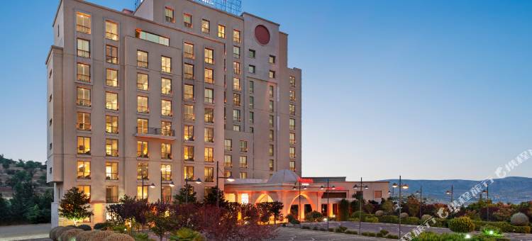 马尔丁温德姆华美达广场酒店(Ramada Plaza by Wyndham Mardin)图片