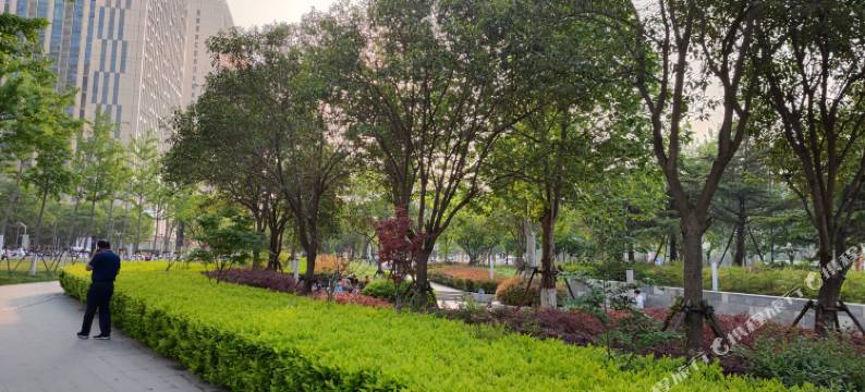 郑州多嘉商务酒店 (高新数码港店)图片