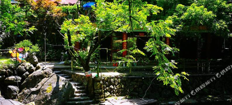 桐庐白云源梅记人家图片