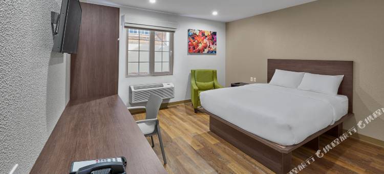 梅尼达西格洛XXI长住套房酒店(Extended Suites Merida Siglo XXI)图片