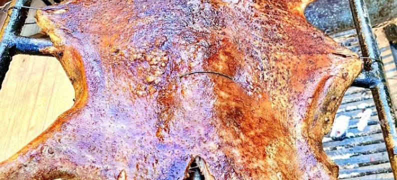 波密悠游道木屋酒店图片