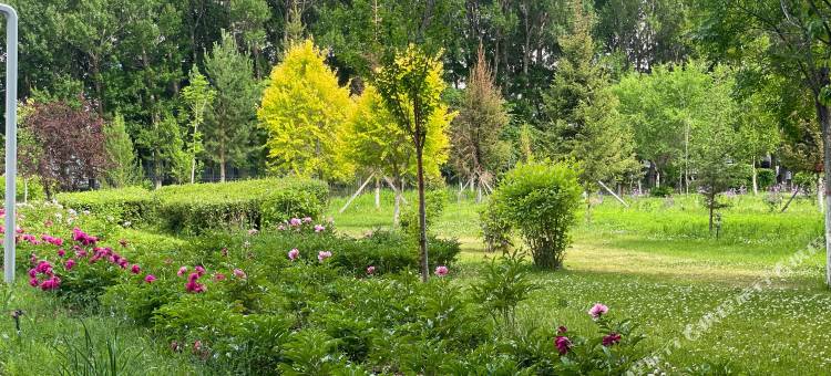 吉木乃宾馆图片