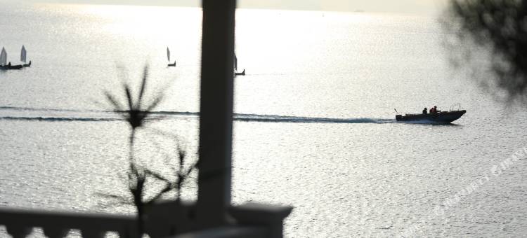 深圳海湾壹号民宿(官湖店)图片