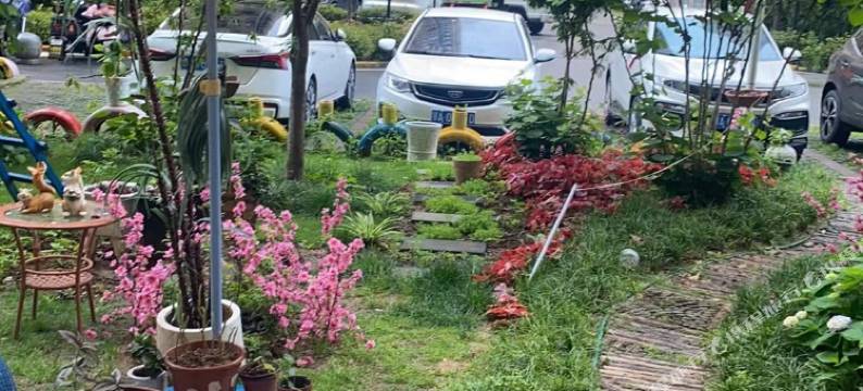 武汉黄龙山青年旅社图片