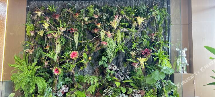 拾花一境海景酒店(保山青华海湿地公园店)图片