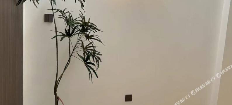 隐巷里民宿(天津蓟州城区店)图片