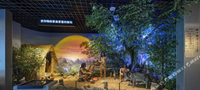 安吉逗富庄园图片