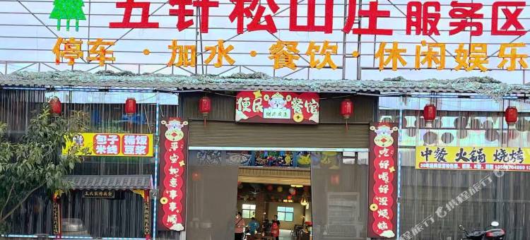 巧家五针松山庄图片
