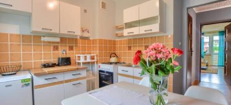 Apartamenty Bieszczadzki Anioł图片