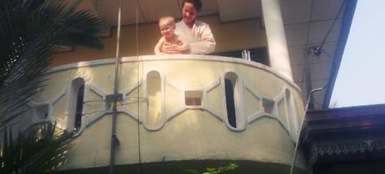 绿荫别墅(Green Shade Villa)图片