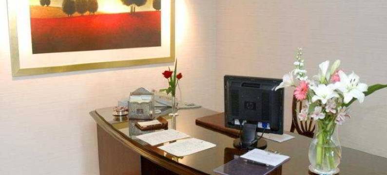 布宜诺斯艾利斯公园大厦豪华精选酒店(Park Tower, a Luxury Collection Hotel, Buenos Aires)图片