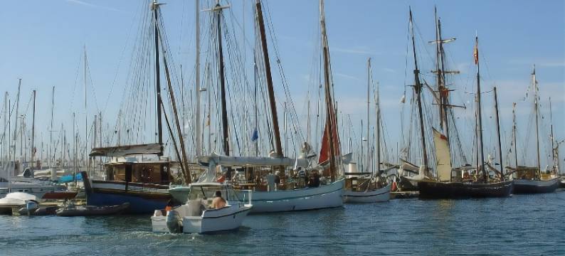 蒂布伦酒店(Hôtel le Tiburon)图片