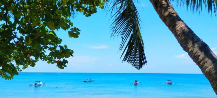 巴厘岛帕特拉度假别墅(The Patra Bali Resort & Villas)图片