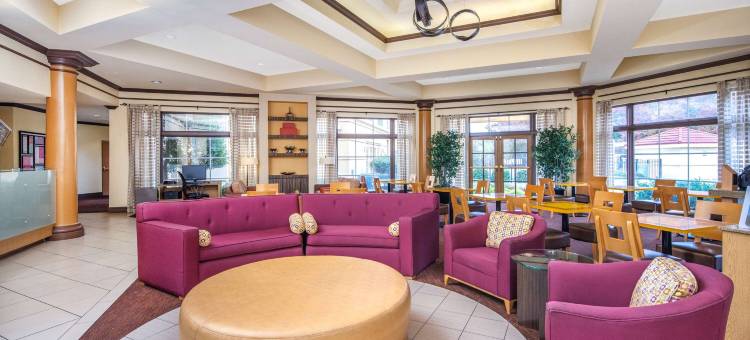 亚特兰大棒球场广场拉昆塔温德姆套房酒店(La Quinta Inn & Suites by Wyndham Atlanta Ballpark/Galleria)图片