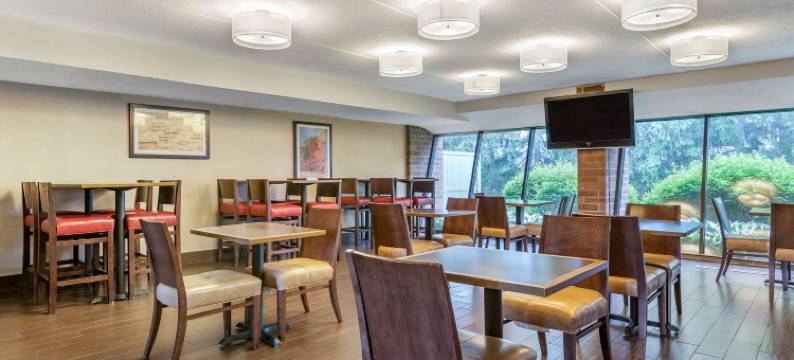 舒适酒店(Comfort Inn)图片