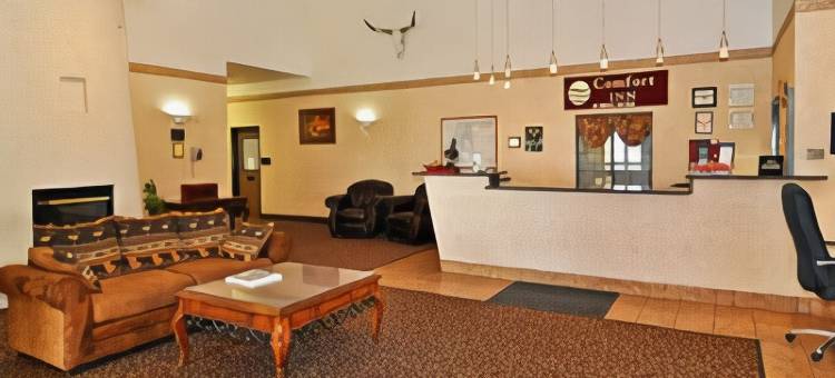 阿拉莫萨舒适套房酒店(Comfort Inn & Suites Alamosa)图片