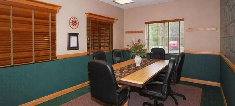 波波的舒适酒店套房(Comfort Inn & Suites)图片