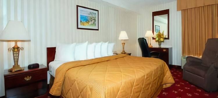 舒适酒店-盖瑟斯堡罗克维尔凉荫丛(Comfort Inn Shady Grove - Gaithersburg - Rockville)图片