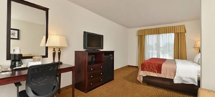 剑桥套房舒适酒店(Comfort Inn & Suites Cambridge)图片