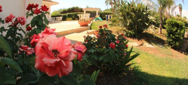 特纳科里亚别墅旅馆(Villa Trinacria)图片