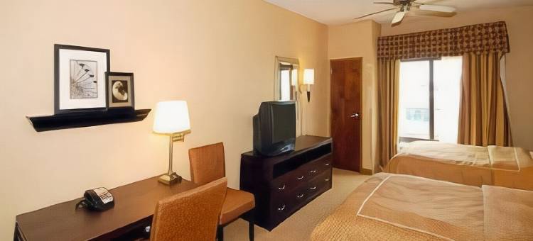 舒适套房酒店-DFW N/葡萄藤(Comfort Suites DFW N-Grapevine)图片