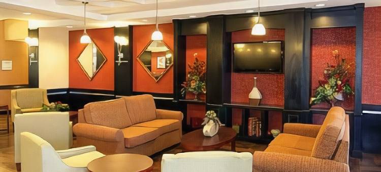 萨尔弗 - 查尔斯湖舒适套房酒店(Comfort Suites Sulphur-Lake Charles)图片