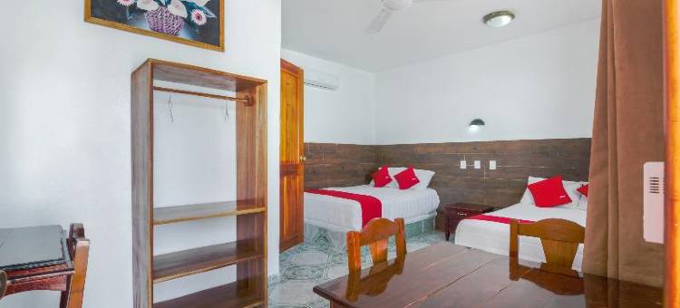 OYO 帕尔马皇家酒店(OYO Hotel Palma Real)图片