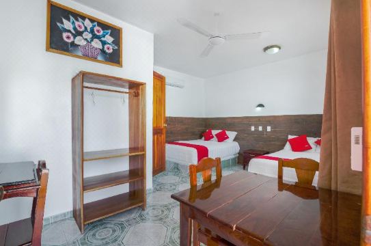 OYO Hotel Palma Real Hotel Overview