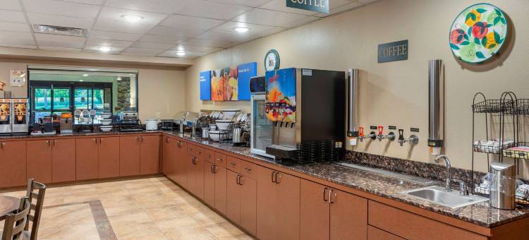 布兰森梅多斯舒适套房酒店(Comfort Inn & Suites Branson Meadows)图片