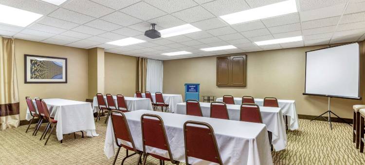 昆提科斯塔福德舒适酒店(Comfort Inn Quantico)图片