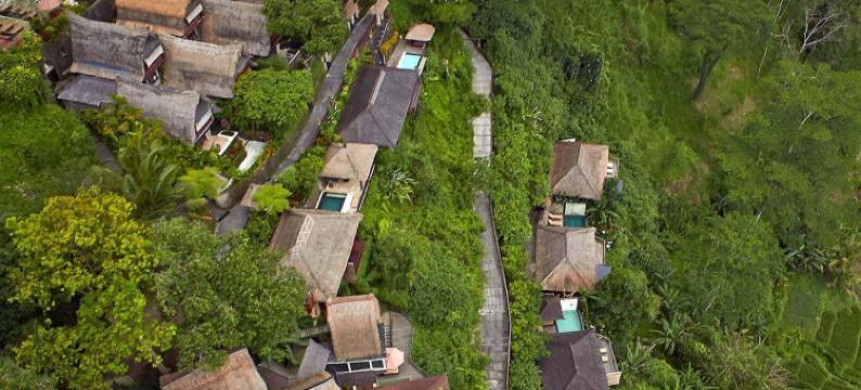 库普库普巴龙洛奇塔内特里Spa别墅度假村(Kupu Kupu Barong Villas & Tree Spa)图片