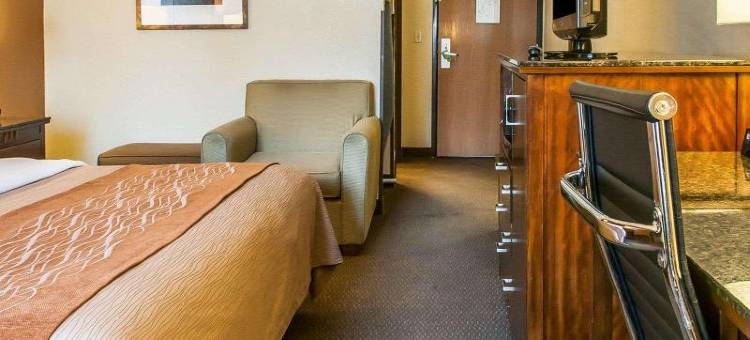 城中舒适套房酒店(Comfort Inn & Suites Midtown)图片