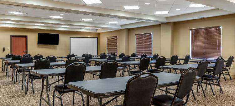 舒适套房酒店-比尤达奥斯汀南(Comfort Suites Buda - Austin South)图片