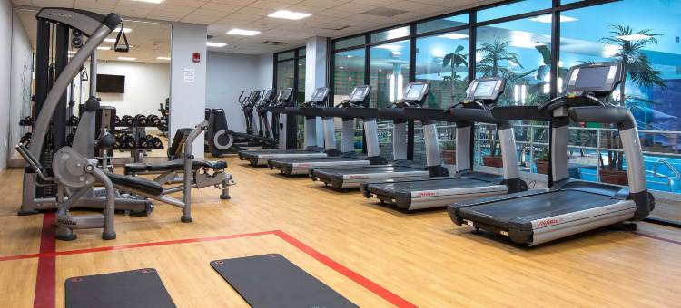 尼亚加拉瀑布喜来登酒店(Sheraton Niagara Falls)图片