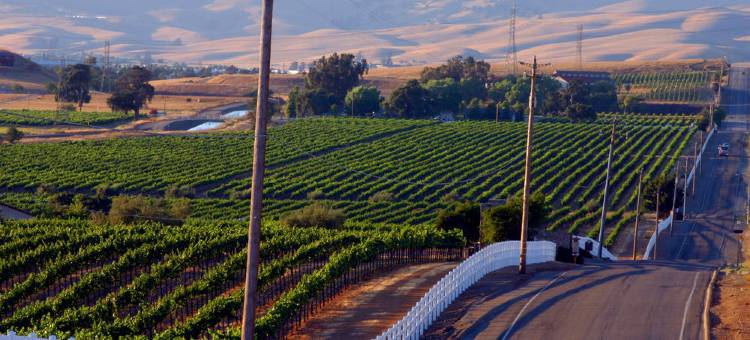 圣拉蒙万豪酒店(San Ramon Marriott)图片