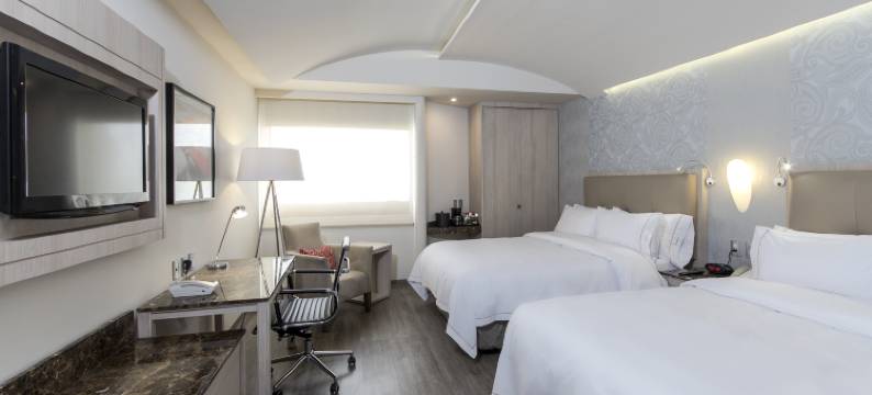 墨西哥 - 托雷奥智选假日酒店(Holiday Inn Express MEXICO CITY - TOREO by IHG)图片