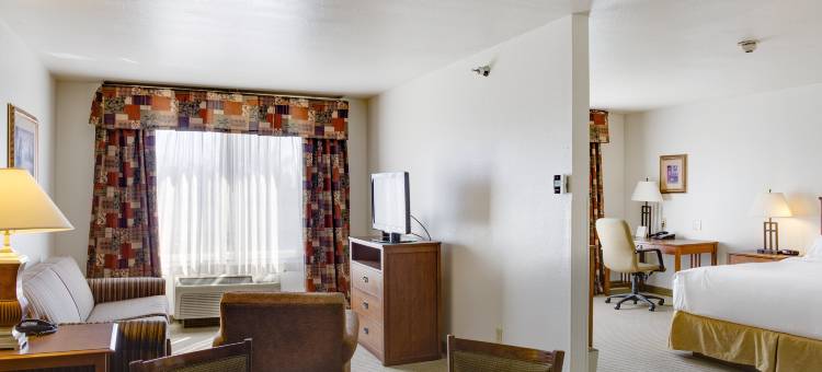 智选假日套房酒店俄克拉荷马城 - 伯大尼(Holiday Inn Express & Suites Oklahoma City - Bethany)图片