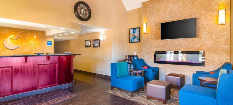 舒适套房酒店(Comfort Inn & Suites)图片