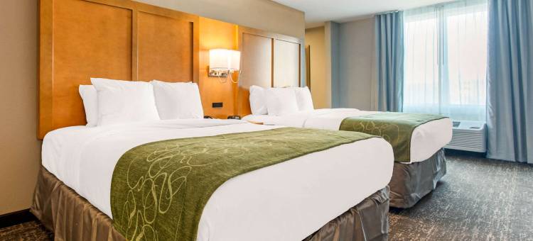 Comfort Suites North Charleston - Ashley Phosphate图片