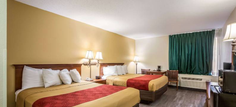 伊克诺套房酒店(Econo Lodge Inn & Suites Fairview Heights St Louis)图片